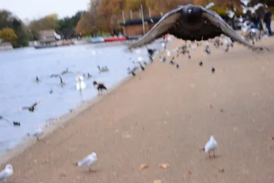 DSC_0639 (Large).JPG